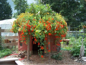 Flower-hut